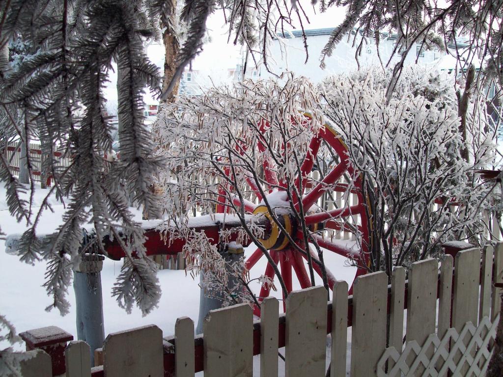 Beez Kneez Bakpakers Pansiyon Whitehorse Dış mekan fotoğraf